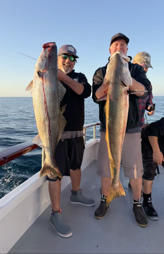 Caught a few today