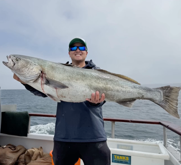 WSB up to 50 lbs. 