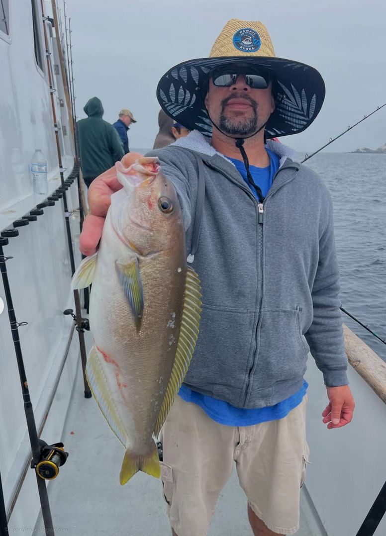 Fishing at the local island has been excellent lately