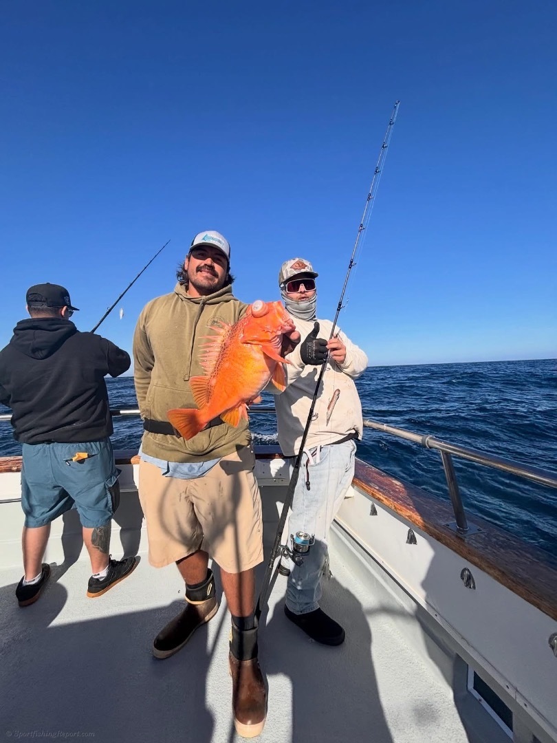 Local 3/4 day