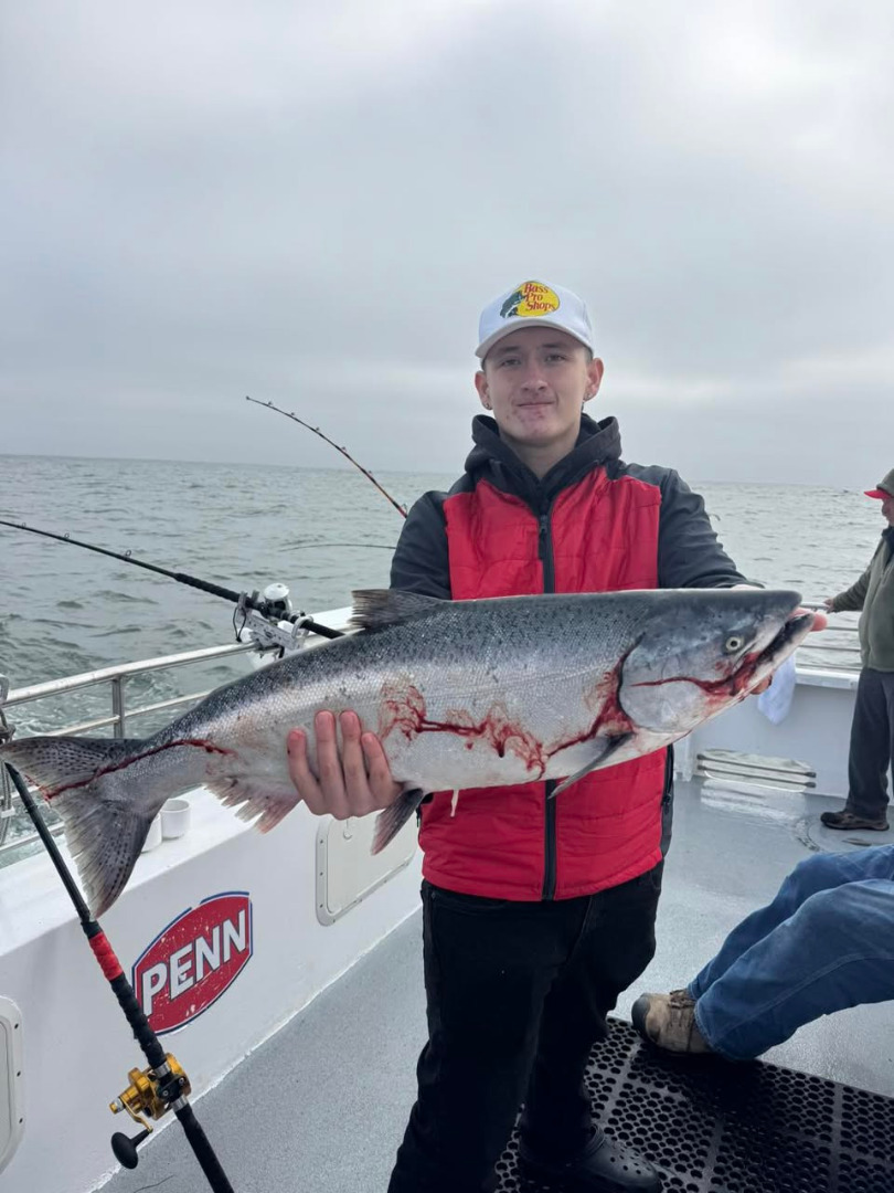 Hot salmon bite today
