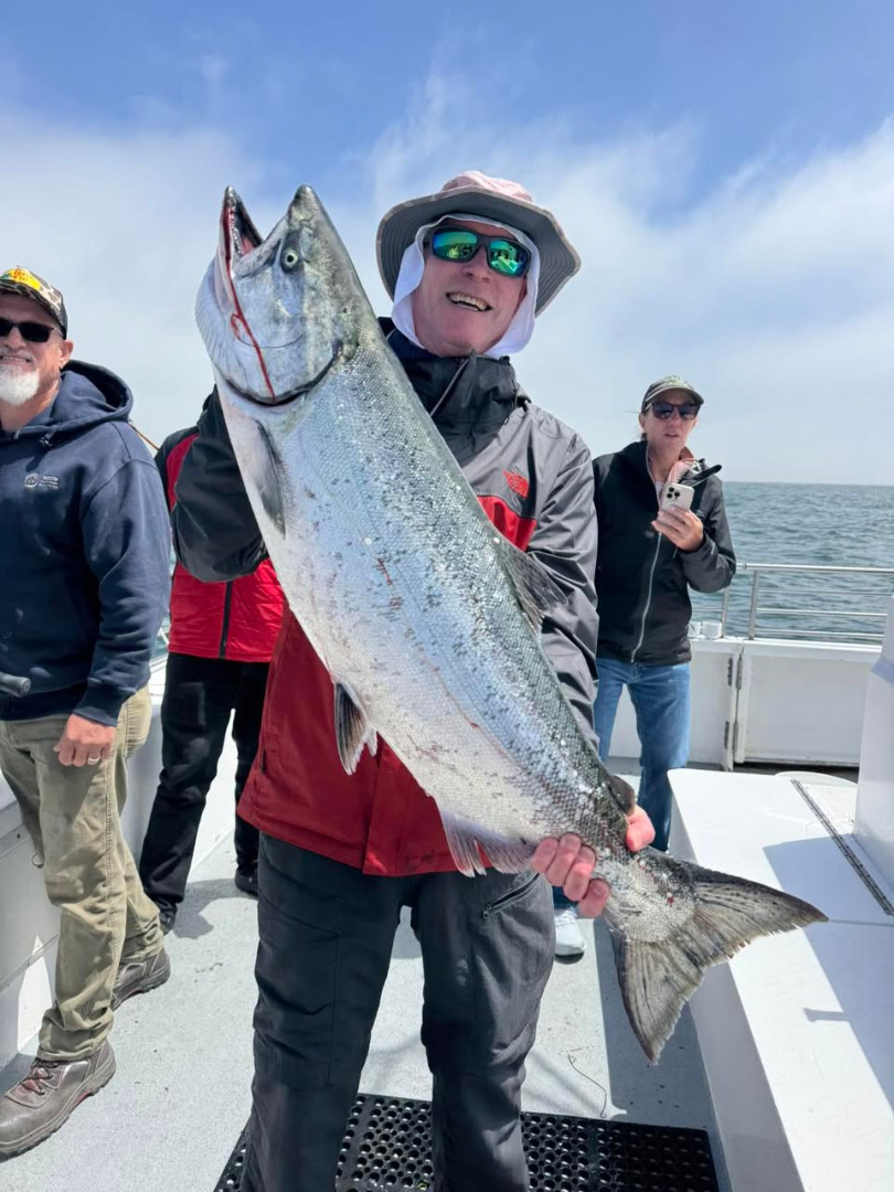 Hot salmon bite today