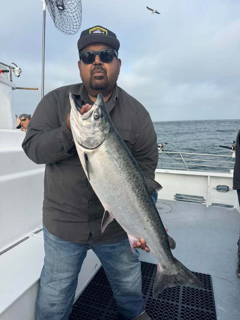 Hot salmon bite today