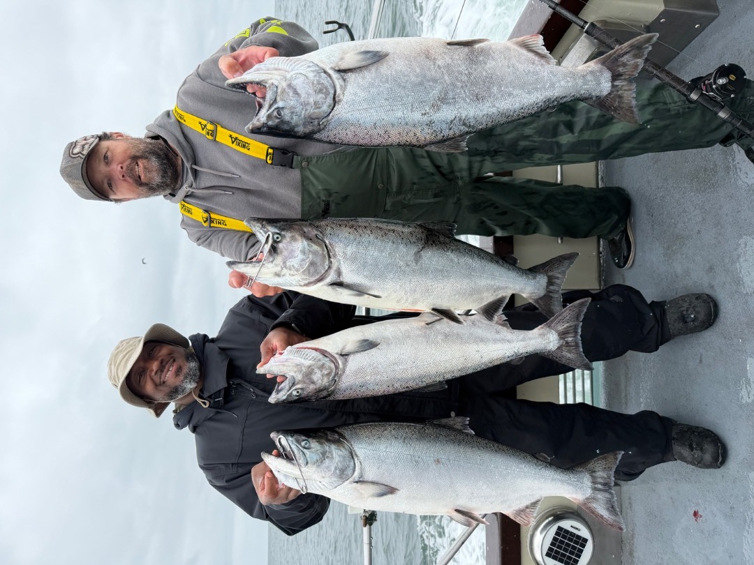 LIMITS OF SALMON!!!