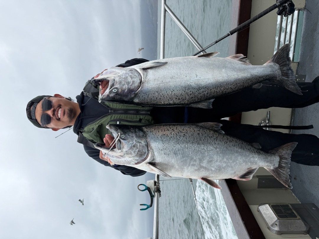 LIMITS OF SALMON!!!