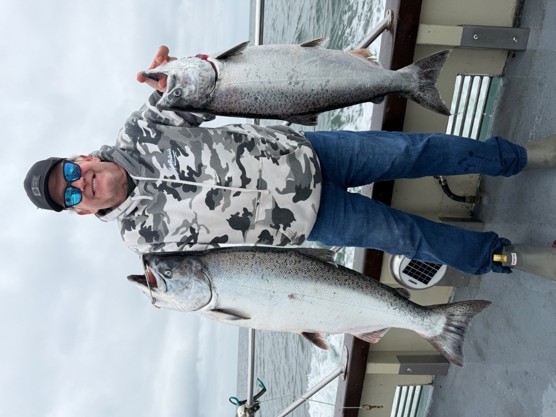 LIMITS OF SALMON!!!