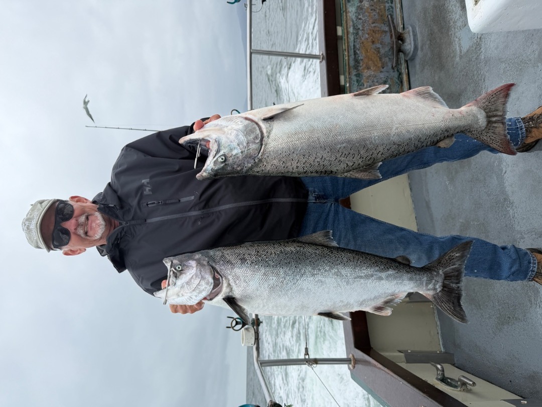 LIMITS OF SALMON!!!