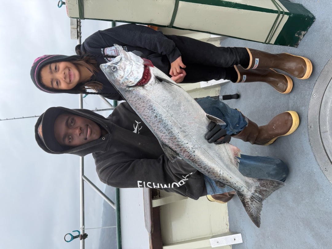 LIMITS OF SALMON!!!