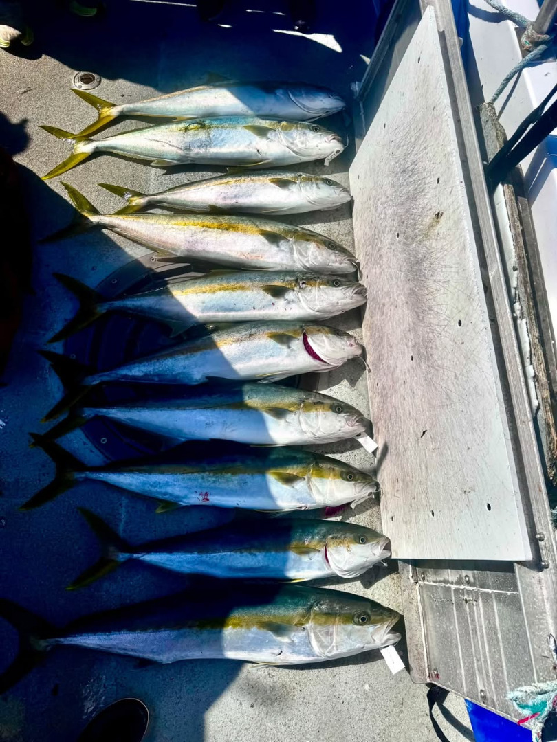 Fun Day of Fishing today! 