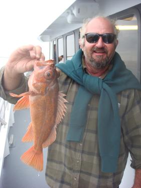 Another great SFR Charter produces Solid Rockfishing on the Velocity out of Stagnaro's Sportfishing!