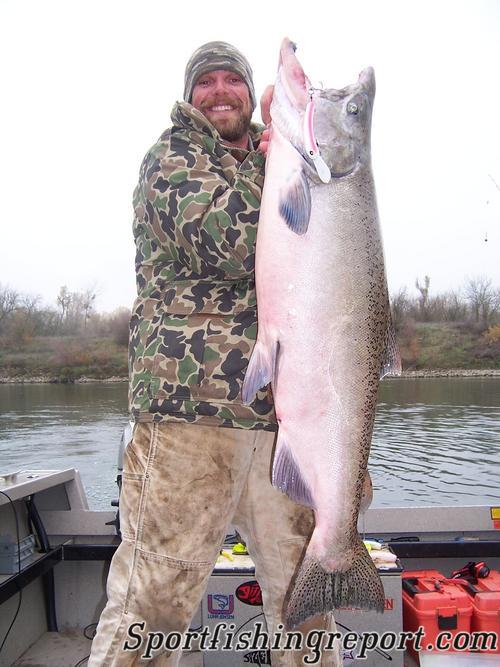 Hawg Huntin...A True Sacramento River Trophy Salmon Fish Report