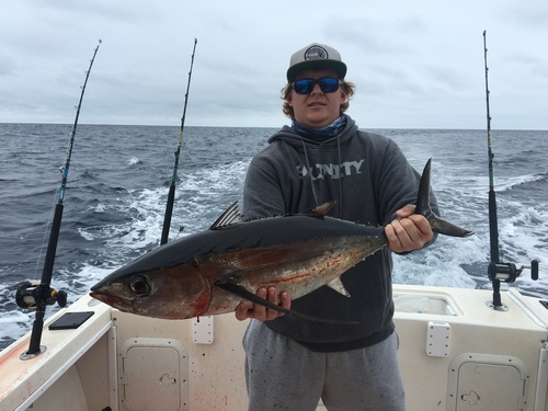 Eureka Albacore season is here