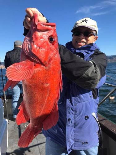 Lovely Martha Fishes Marin County For Limits