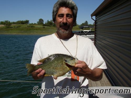 Lake Pardee Fish Report