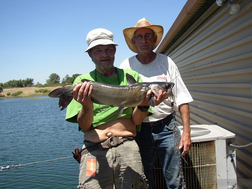 Lake Pardee Fish Report