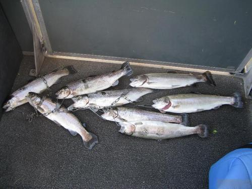 Lake Pardee Fish Report