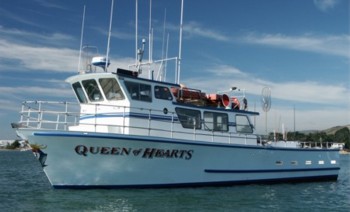 Queen Of Hearts - Trip Update