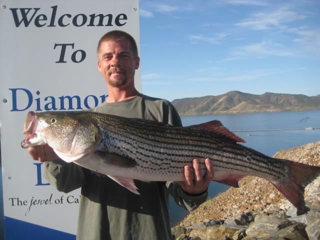 Diamond Valley Marina - ⚡️LIGHTNING TROUT!!!⚡️ Kevin and
