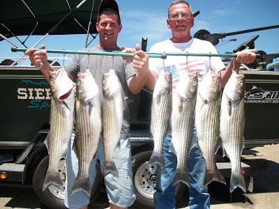 New Hogan Reservoir Fishing Report