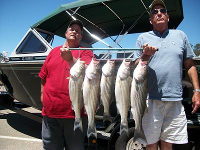 New Hogan  Fishing Report