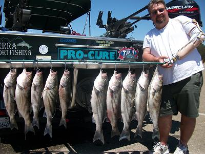 New Hogan Reservoir Fishing Report 