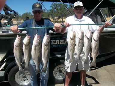 Lake New Hogan Fishing Report
