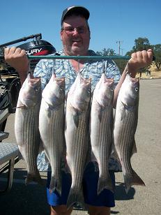 New  Hogan  Reservoir Fishing Report 