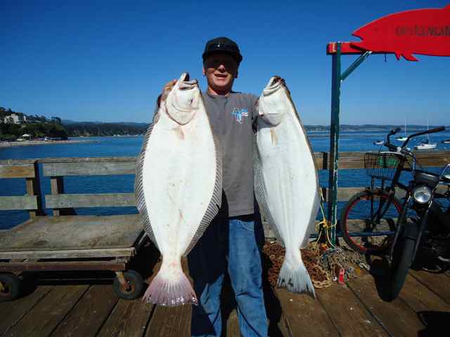 Salmon, Halibut & Rockfish are all active in the Monterey Bay Area