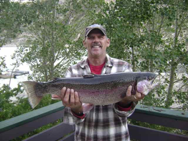 Bishop Creek Fish Report - Bishop, CA (Inyo County)