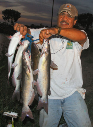 Santa Ana River Lakes Fish Report - Santa Ana, CA (Orange County)