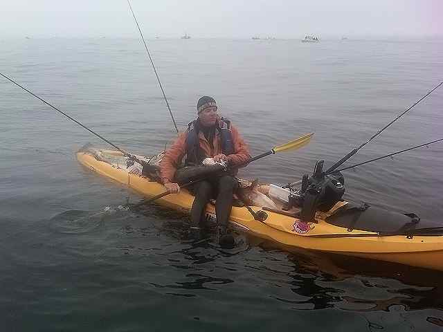 Kayak Fisherman, Ken Marple lands a 43 lb. White Seabass