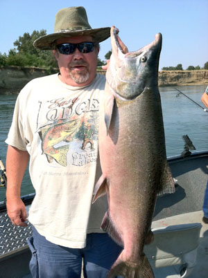 The King Salmon Just Keep Coming on the Sacramento River