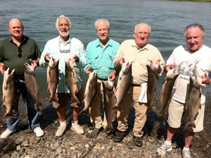 Another Limit Catch of Salmon on the Lower Sac