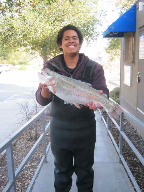 Trout fishermen are pulling in limits with some nice sized catches at Del Valle Lake