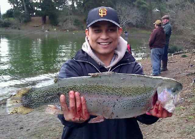 The trout bite remained hot depute the rain at San Pablo Reservoir