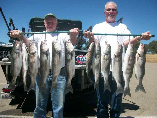 Limits of stipers are the main course at New Hogan Reservoir