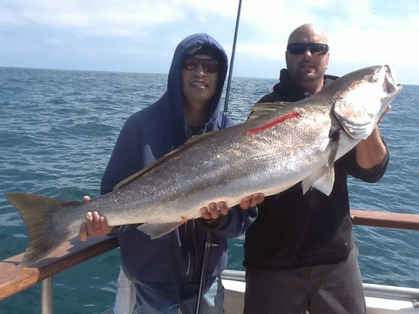 Fish counts, Fish reports, Sportfishing, CA, California, , Shawn Steward, J...