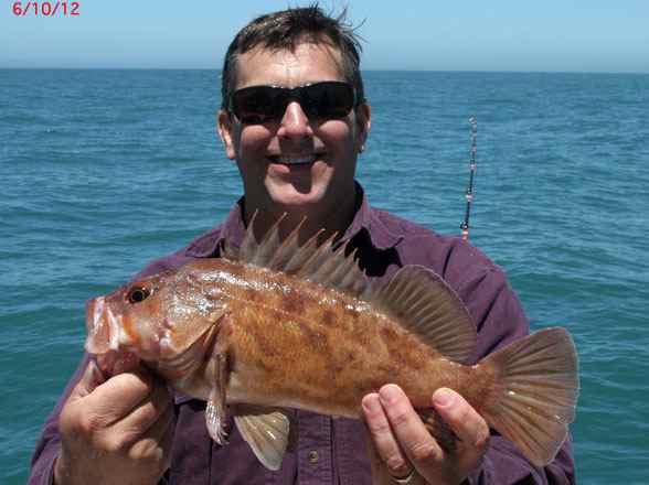 Captain Steve of Flash Sportfishing discusses the fishing for Rockfish, Lings, Halibut & Salmon