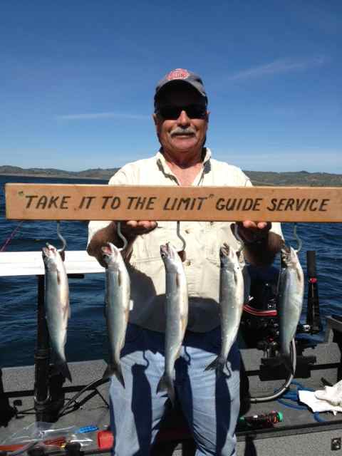 Guide Report from New Melones, by Gary Burns