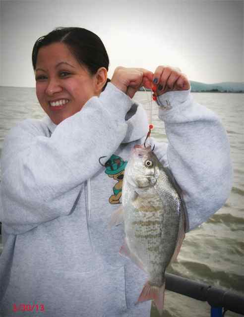 Along with good Sturgeon action, Flash Sportfishing reports landing a 2 lb. Silver Perch