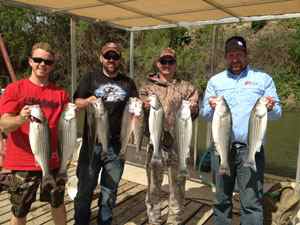 Red Hot Striper Bite! on the Sacramento River Doubles, triples, nice fish, lots of fish