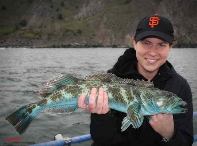 Halibut/ Lingcod in San Francisco bay and ocean