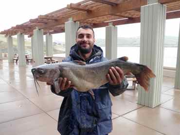 Stripers & Trout are providing the best action at Los Vaqueros Reservoir