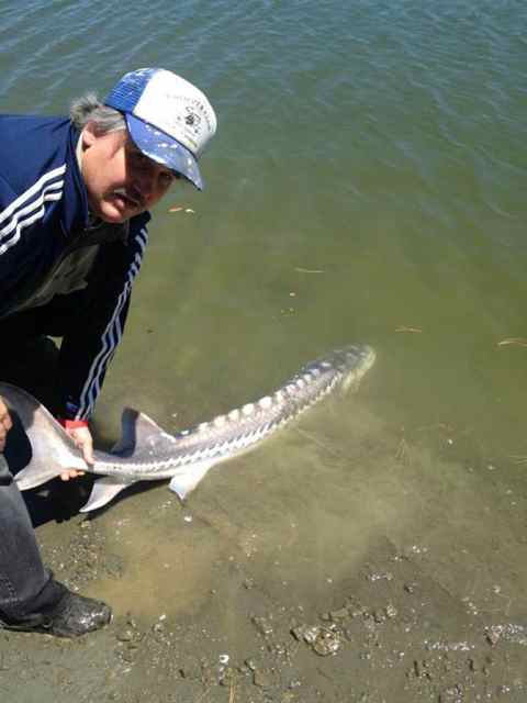 The Catfish & Bass bite was good at San Pablo Resevoir