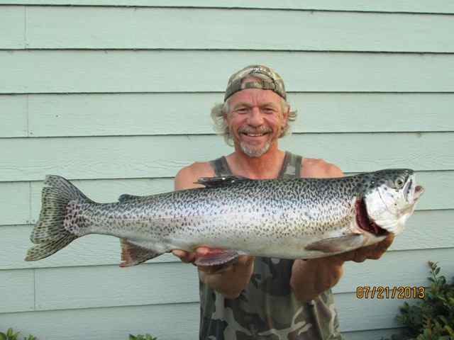 The Catfish bite is best at New Melones, followed by the Kokanee bite. Alll other species are slow