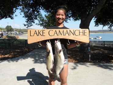 People were catching Catfish all over Lake Camanche