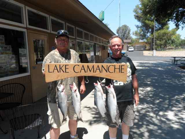 Kokanee & Catfish are providing the action on Lake Camanche