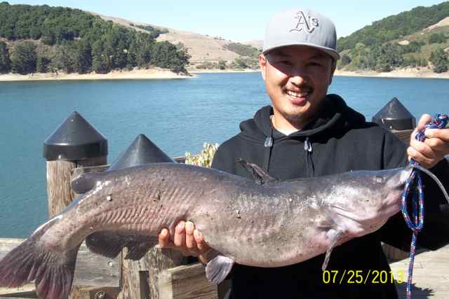 The Catfish bite & the Bass bite are working at San Pablo Reservoir