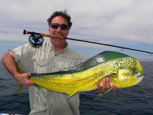 Saltwater Report - Rancho Leonero Fish Report Week Ending August 11, 2013 -  August 17, 2013