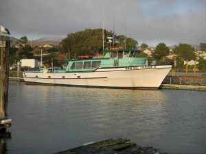 New Sea Angler comes back to the dock with 43 Salmon for 23 Anglers. They have space available